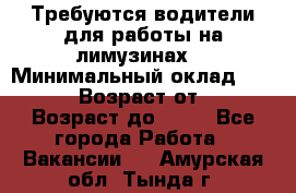 Требуются водители для работы на лимузинах. › Минимальный оклад ­ 40 000 › Возраст от ­ 28 › Возраст до ­ 50 - Все города Работа » Вакансии   . Амурская обл.,Тында г.